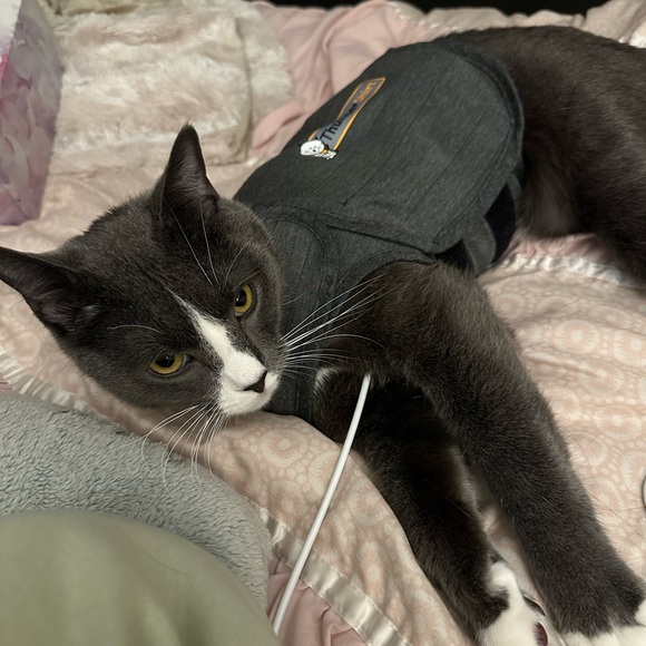 Welcome 🙏 so glad you found me 💖 - Picture 6 of 17